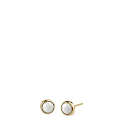 Arctic Symphony | polished gold | 701-25-05
