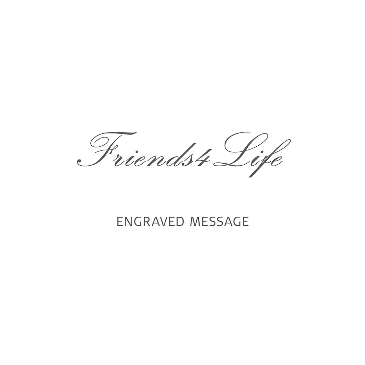 Sale | polished silver | Friends4Life-1