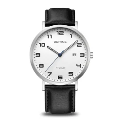Titanium | brushed silver | 18640-404