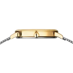 Titanium | polished/brushed gold | 18634-010